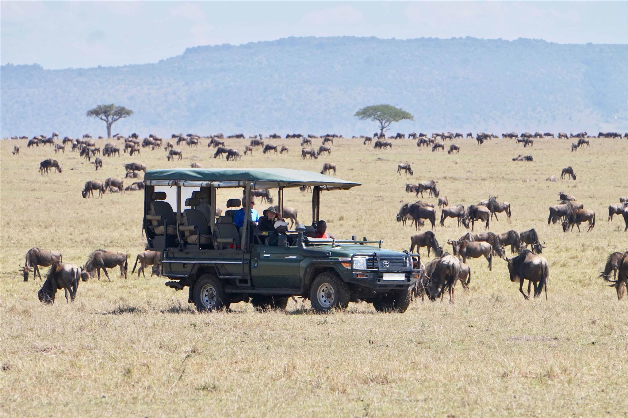 Great Wildebeest Migration East Africa Safari Ventures